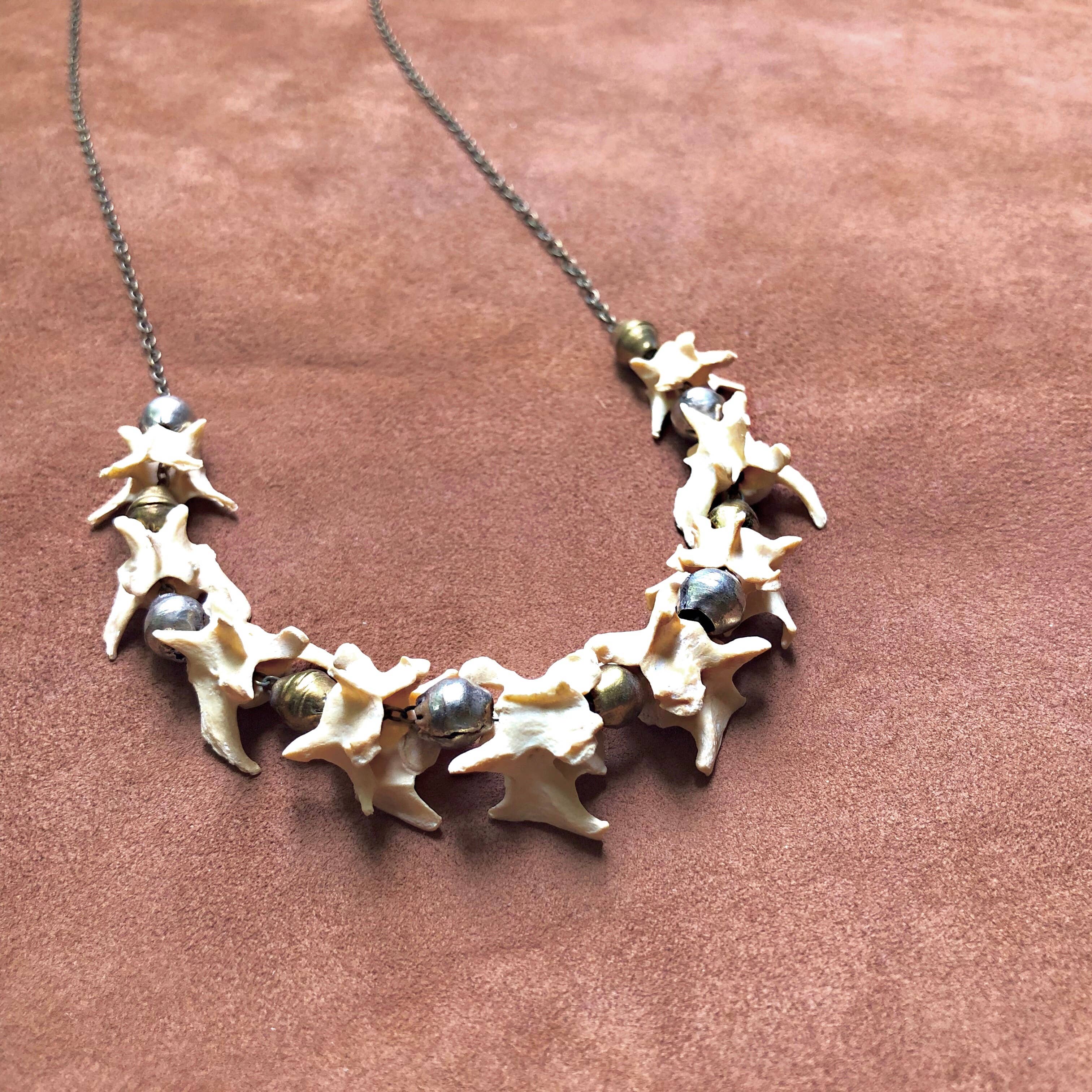 ASTALI - Wholesale Beaded/Pearl Necklace - Weasel Vertebrae Necklace, Real Bone Necklace, Taxidermy5