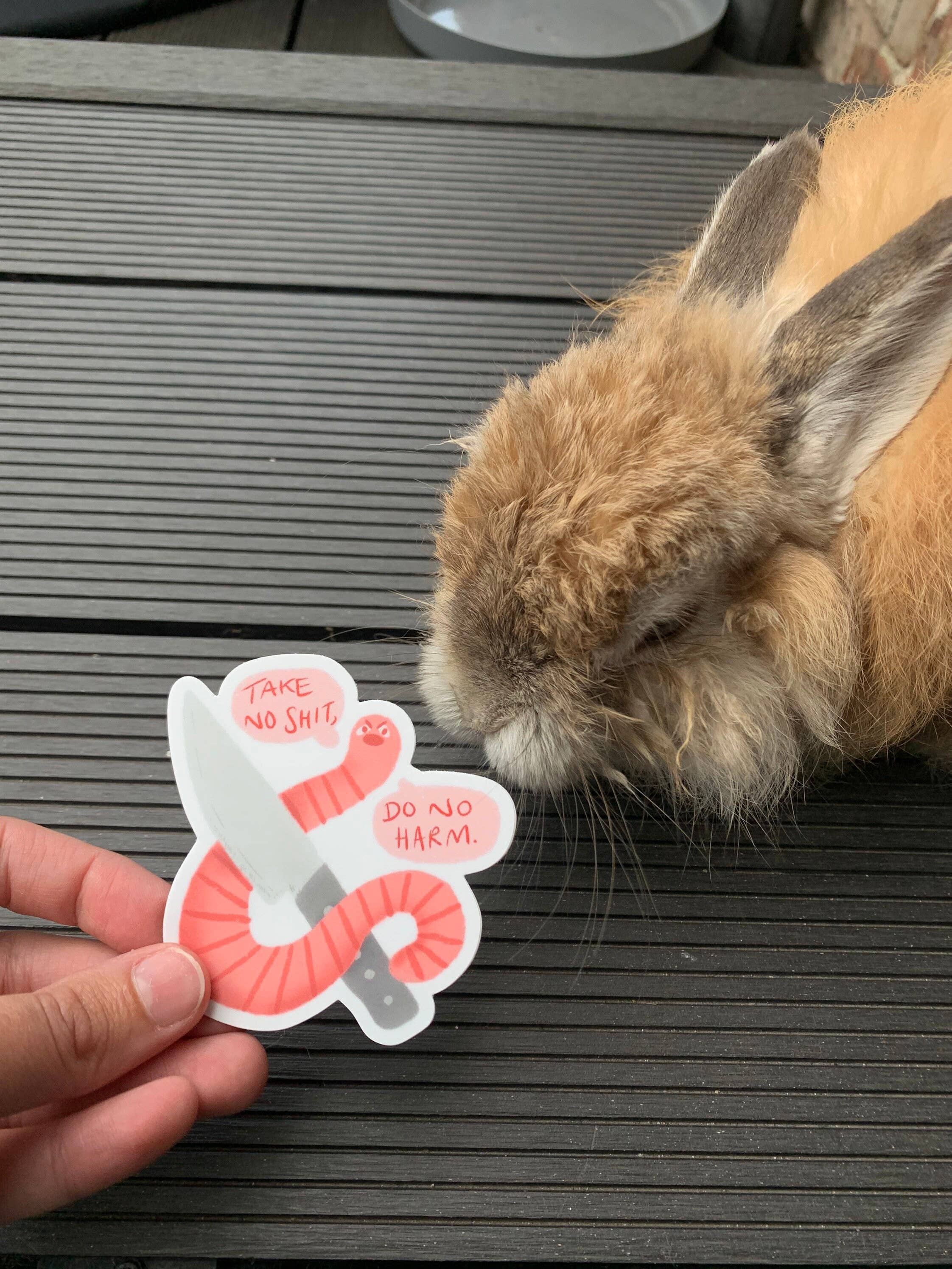 2B Or Not 2B - Vendita all'ingrosso Adesivo - Adesivo in vinile verme "Non farti mettere i piedi in testa, non fare del male" 9cmx8cm4