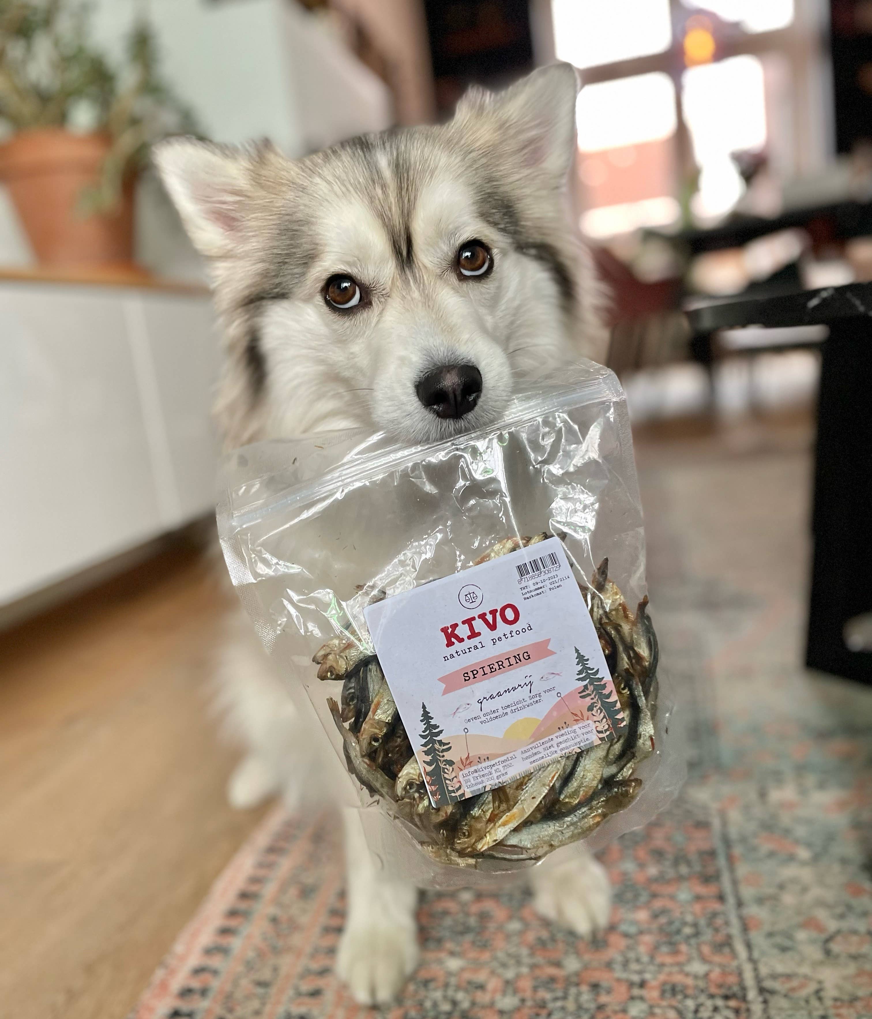 Kivo Petfood - Wholesale Pet Treats - Dog - Dog snack - Muscle - 200g1