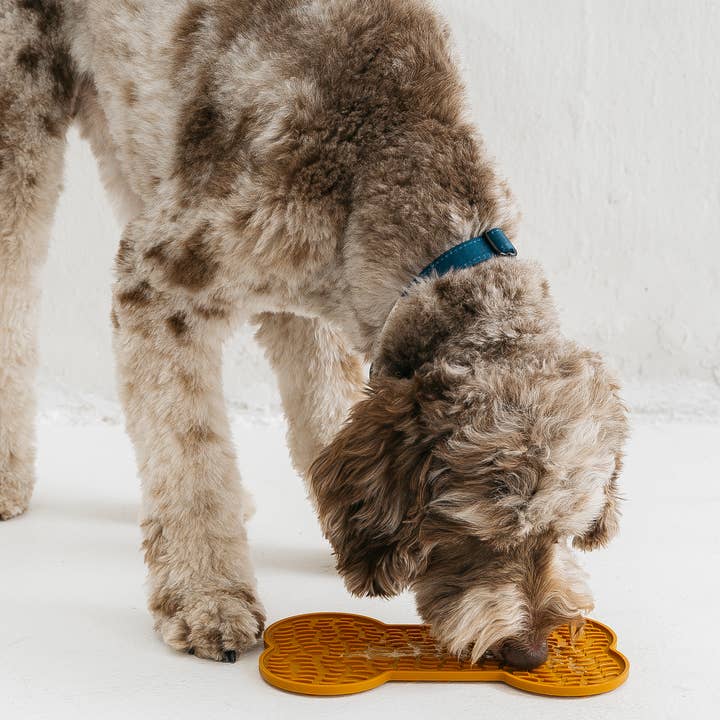 dexypaws - Wholesale Pet Food Mat - Dog - Brown Dog Bone Enrichment Licking Mat6