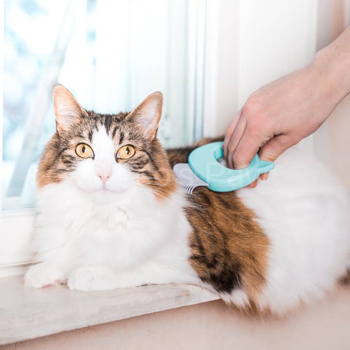 Leo's Paw - Wholesale Pet Grooming Aid - Dog - Cat Hair Removal Massaging Shell Comb11