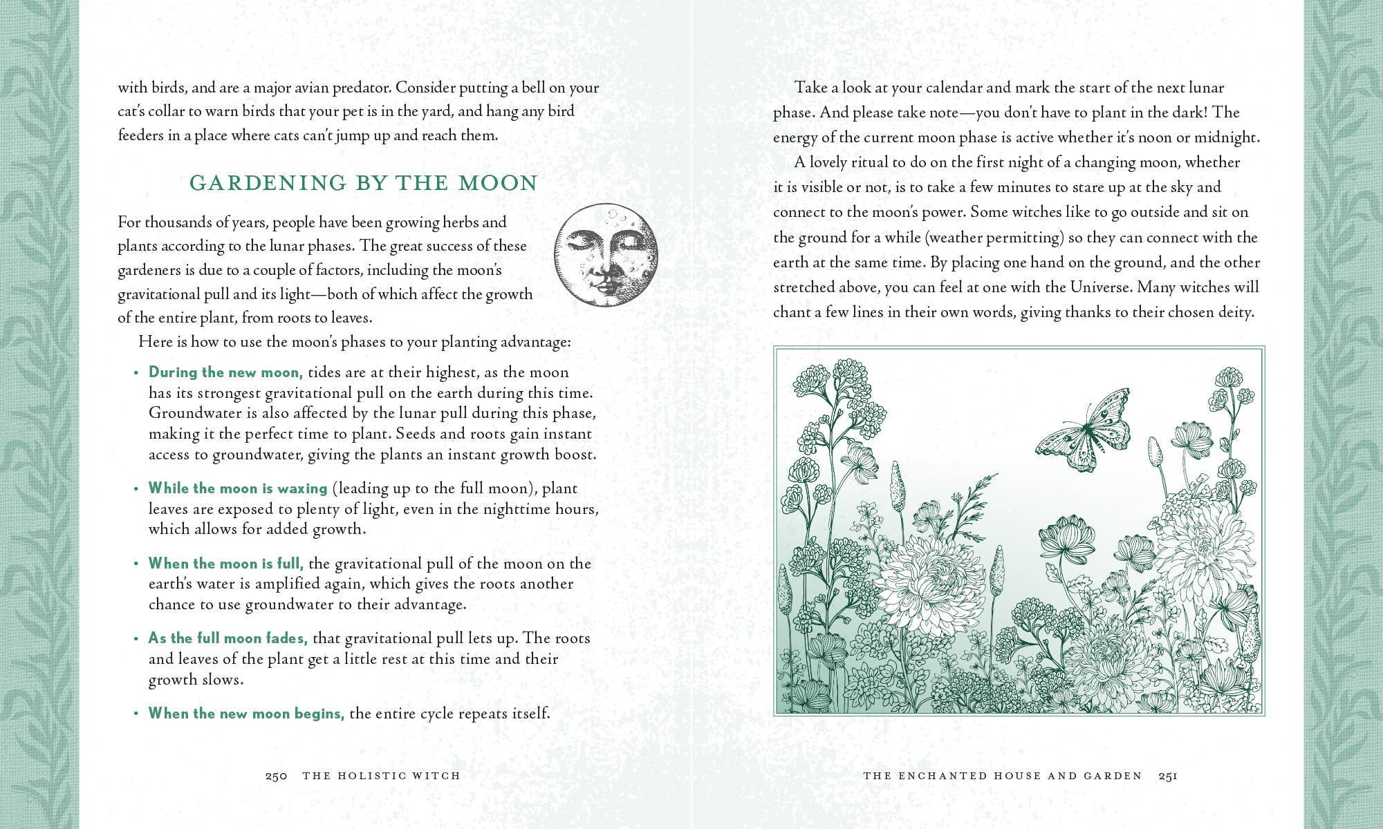 Hachette Book Group - Wholesale Body, Mind & Spirit - Holistic Witch by Leanna Greenaway6