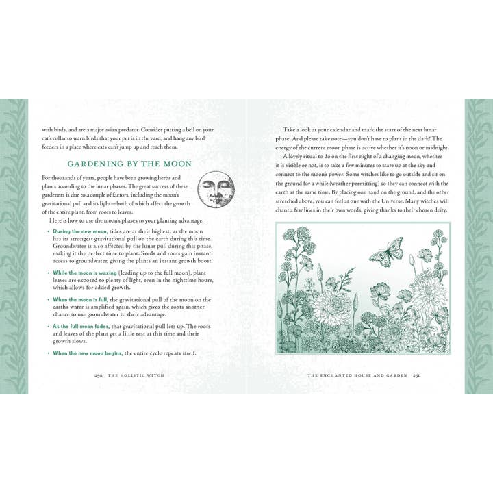 Hachette Book Group - Wholesale Body, Mind & Spirit - Holistic Witch by Leanna Greenaway6