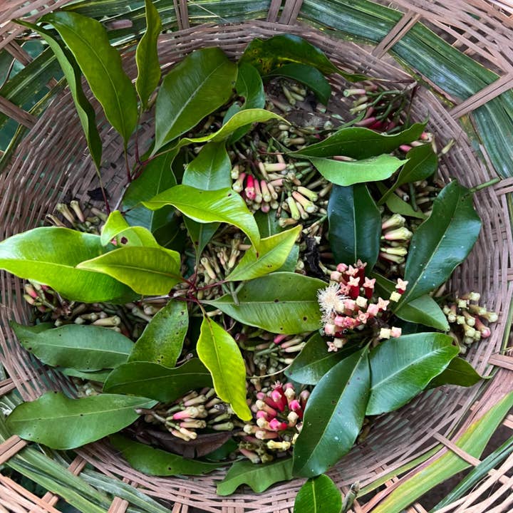 Sourcery - Wholesale Dried Spice - Clove2