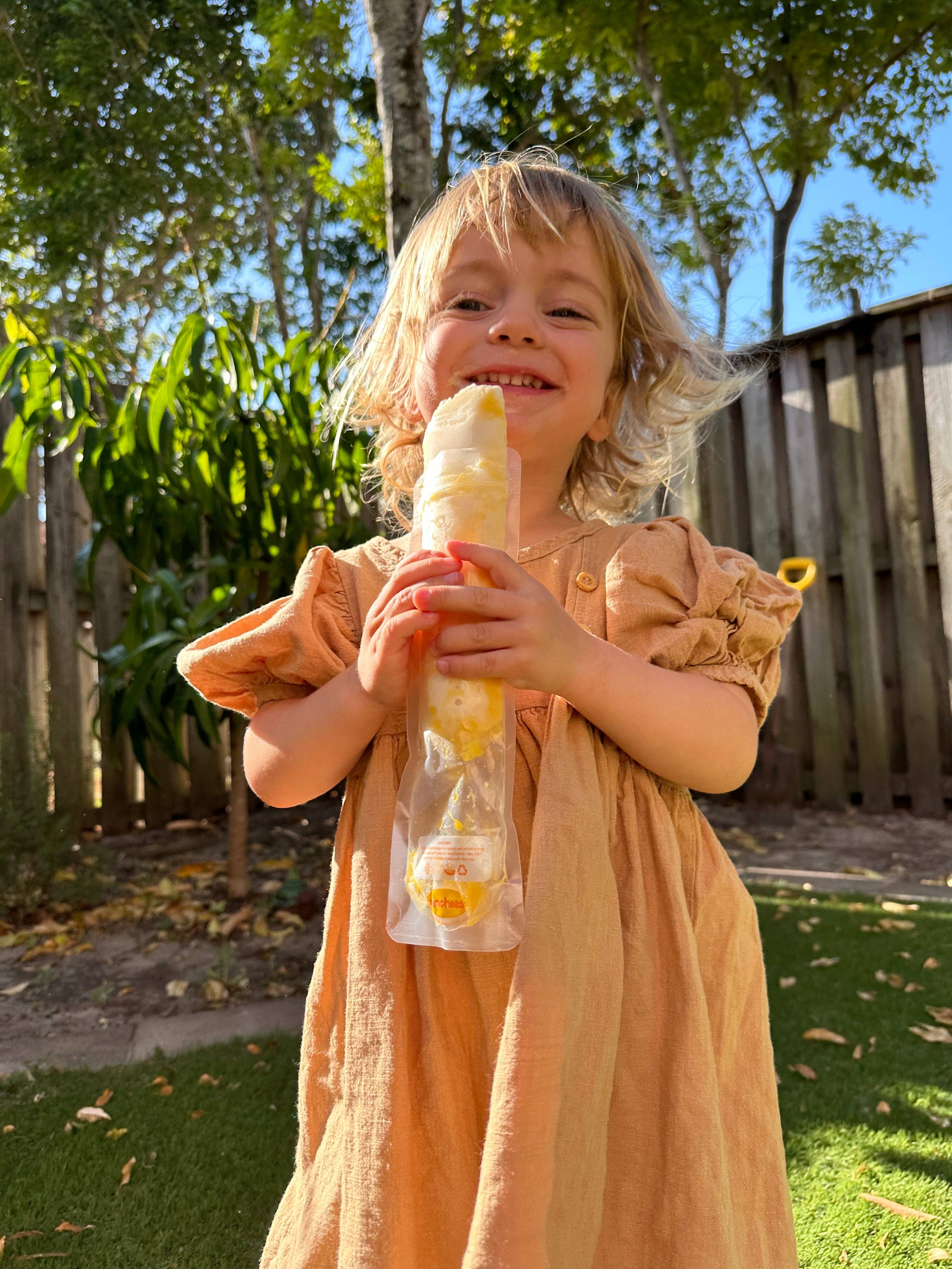 Sinchies - Wholesale Ice Cream/Sorbet - Sinchies Reusable Icy Poles (Pops)3