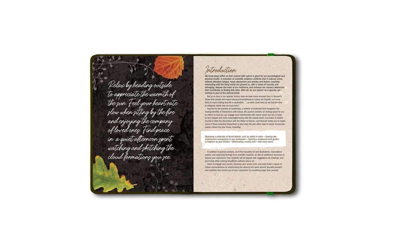 Simon & Schuster - Wholesale Journal/Diary - Grounded by Patricia H. Hasbach2
