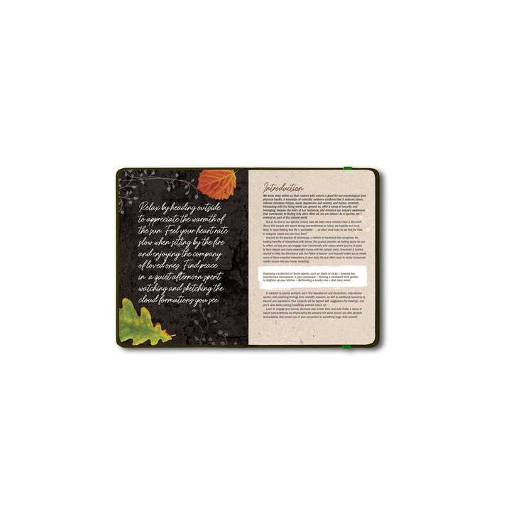 Simon & Schuster - Wholesale Journal/Diary - Grounded by Patricia H. Hasbach2