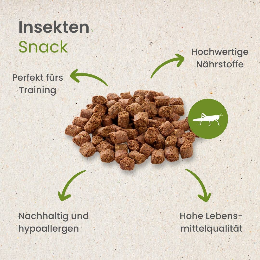 Kauartikel.com GmbH - Vente Friandises – chien - collation aux insectes4