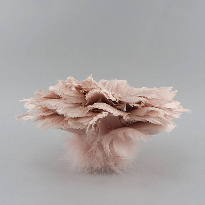 Zucker Feather Products - Vente Matériels de bricolage - Plumes teintées en coquille d'oie - Champagne4