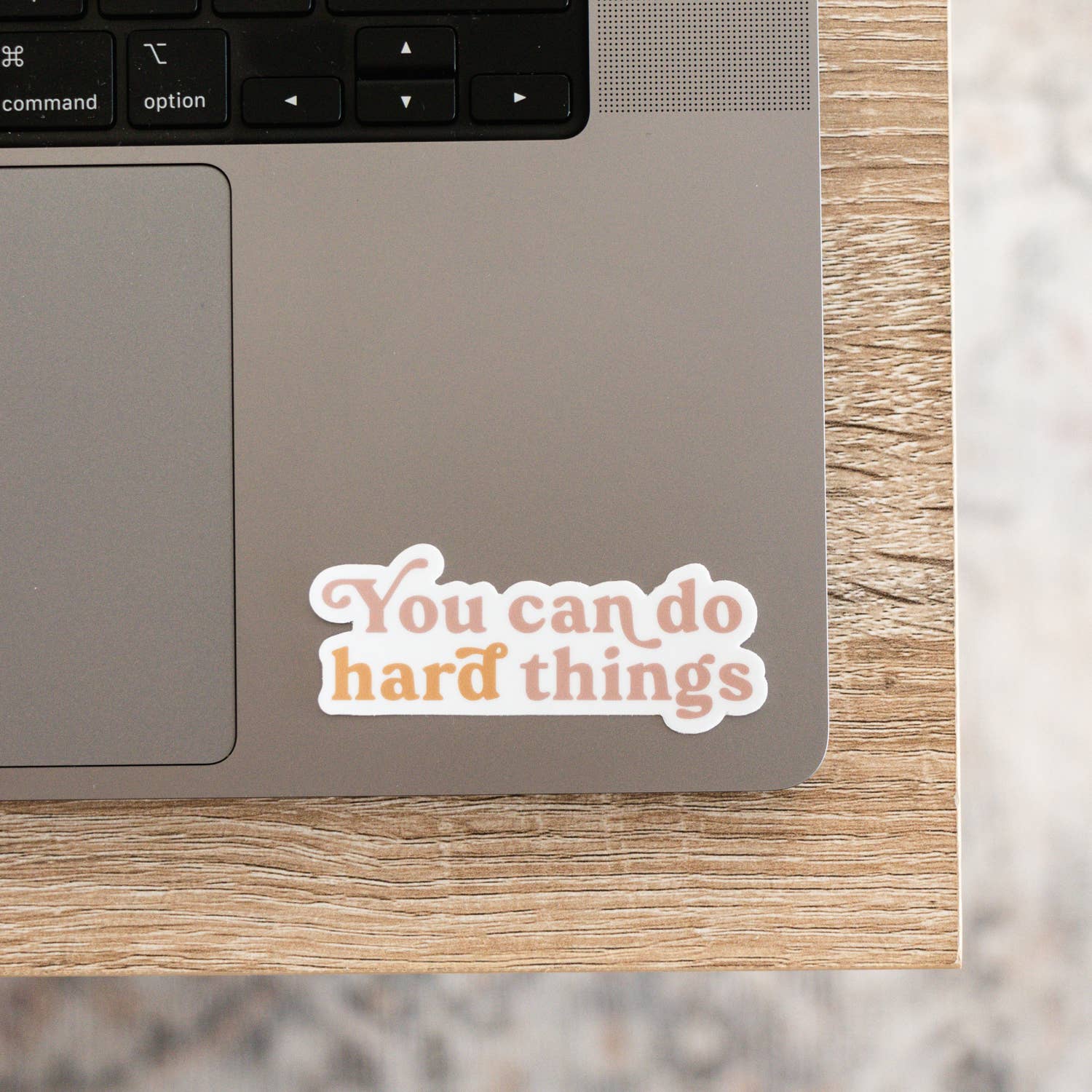 The Anastasia Co - Wholesale Sticker - You Can Do Hard Things - Sticker1