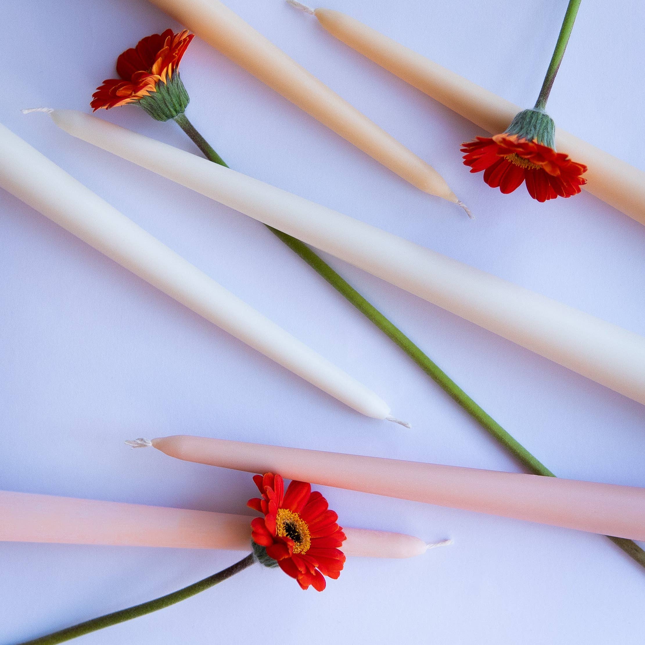 Iconic Candles - Venta al por mayor Cirios pequeños - Vela Skyler Taper1