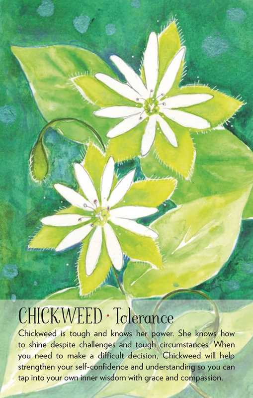 Simon & Schuster - Wholesale Tarot Cards - Soulflower Plant Spirit Oracle by Lisa Estabrook3