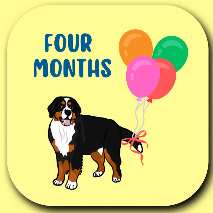 Wild & Wright - Wholesale Milestone Art/Keepsake - Kids & Baby - Welcome to the Pack Milestone Card Set10