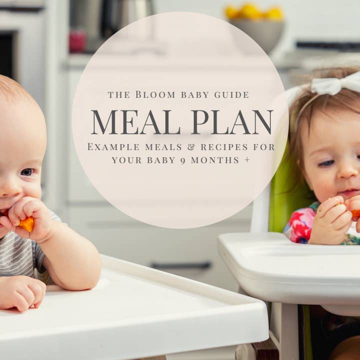 Baby Meal Plan for wholesale by Bloom Boost