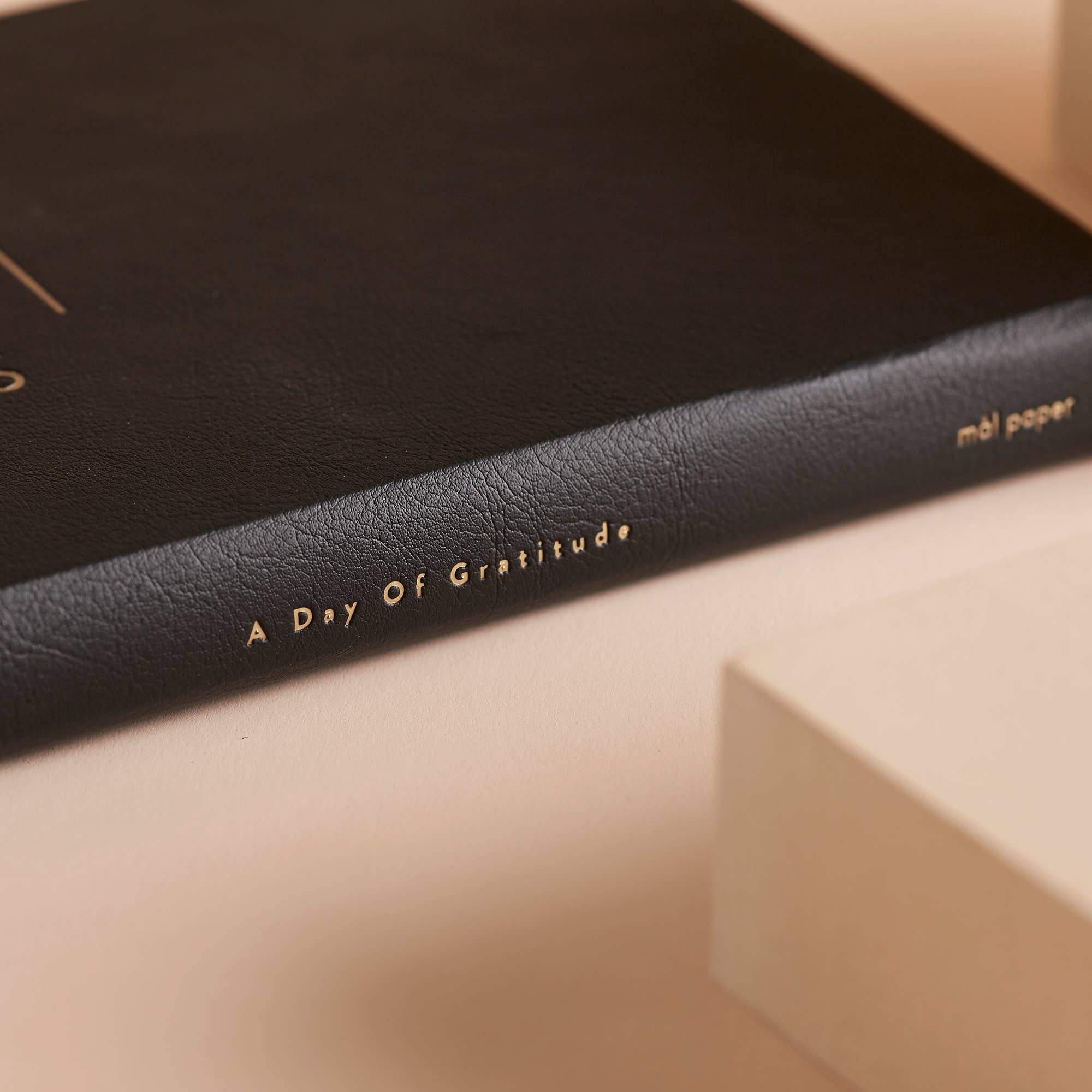 Mål Paper - Vente Journal intime - Journal du Jour de Gratitude noir - Cadeau bien-être et soins personnels6