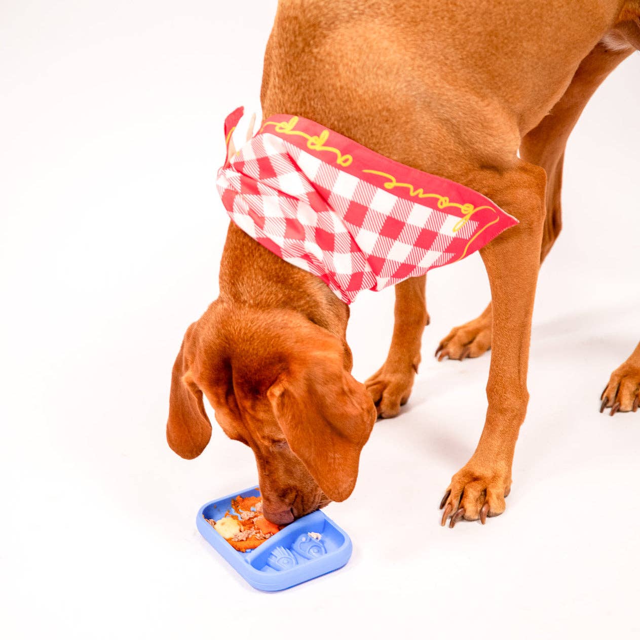 Awoo - Wholesale Pet Food Mat - Dog - Sardina Lick Mat & Slow Feeder9