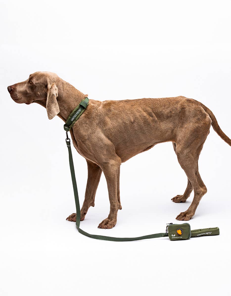 United Pets - Wholesale Hondenriem - Hond - Zachte hondenriem met gewatteerd handvat16