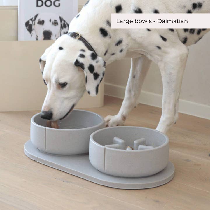 PINO – Großhandel Futternapf – Hund – Langsamfutterschalen - Kollektion 202414