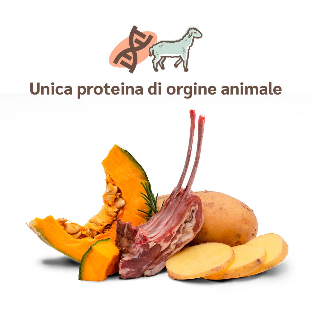 Pettech S.r.l. – Großhandel Tiernahrung – Hund – Frisches Lamm mit Kartoffeln und Kürbis für Welpen 3 kg3