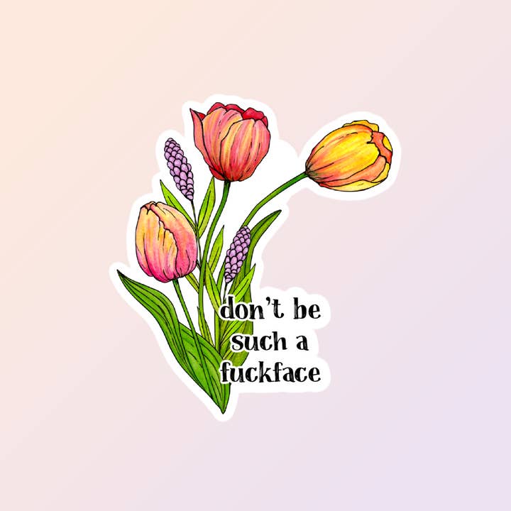 Autocollants sarcastiques drôles pour adultes, Fuckface, Mature pour la vente par Sorry Not Sorry Co