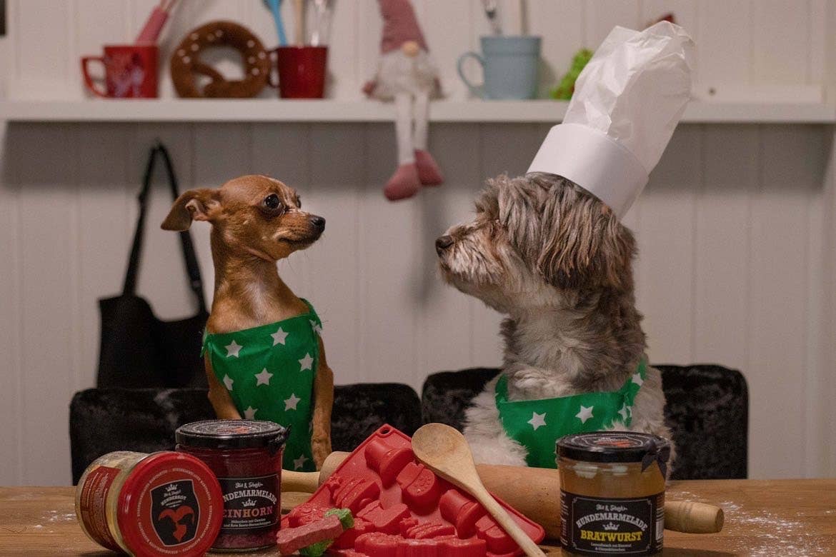 Meister Handelsmarken GmbH - Wholesale Pet Food - Dog - DOG JAM BRATWURST7