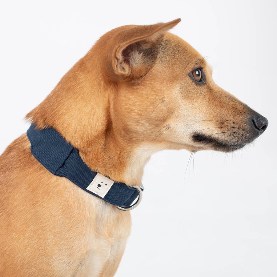 Keepaws - Tactical AirTag Collar- Tactical Smart Dog Collar