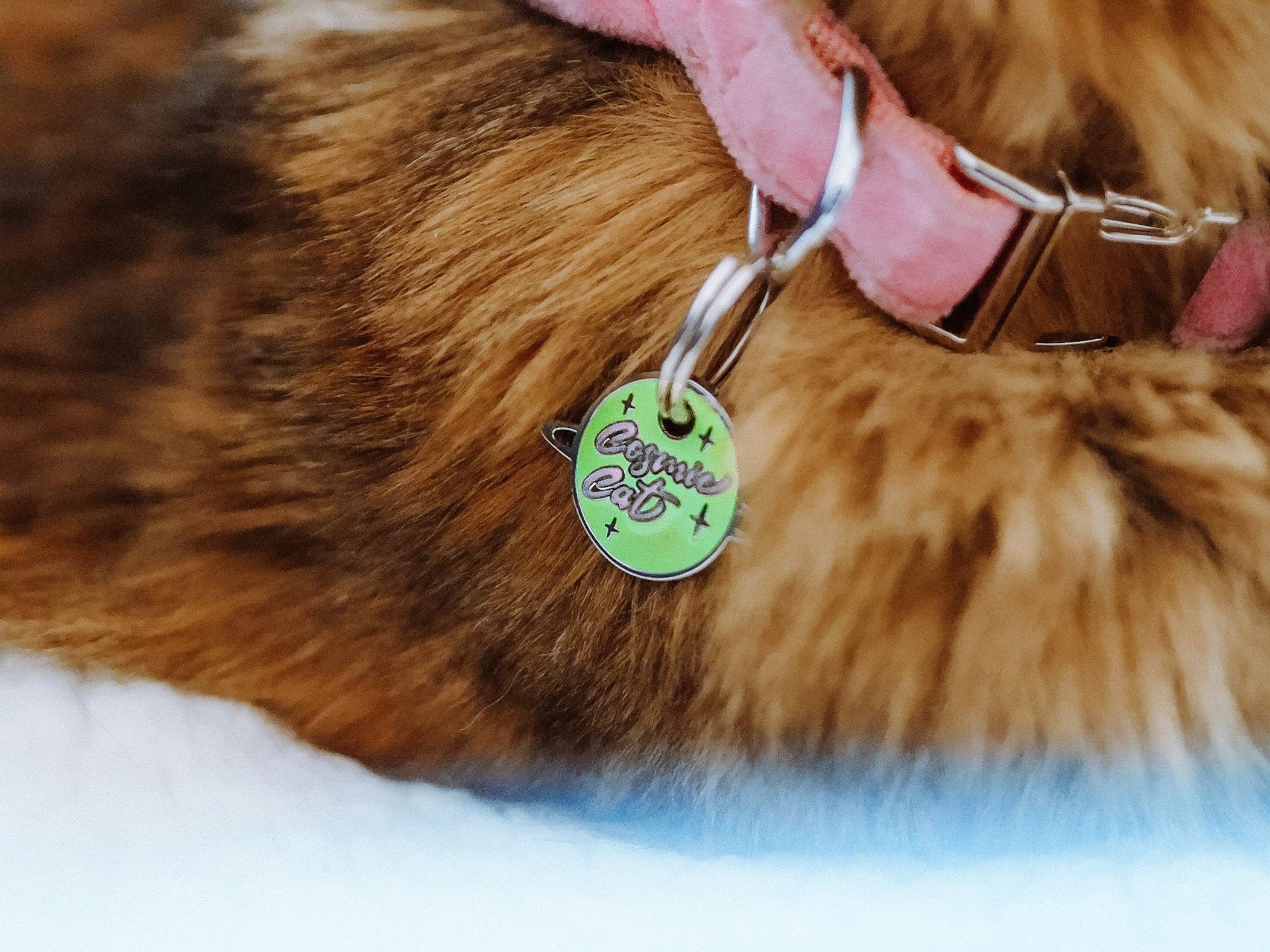 French Bandit - Wholesale Pet Collar Charm - Cat - Phosphorescent medal for cat2