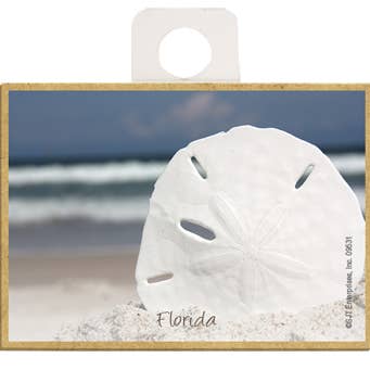 SJT Enterprises, Inc. - Wholesale Magnet - Sand Dollar Sea Life'S Beauty Series Of Wood Fridge Magnets That Measures 2.5" X 3.5" X 1/8" Thick. Can Be Name Dropped When You Order 6+ Pcs - Email Exactly What You Want The Name Drop To Be At Sales@Sjtent.Com