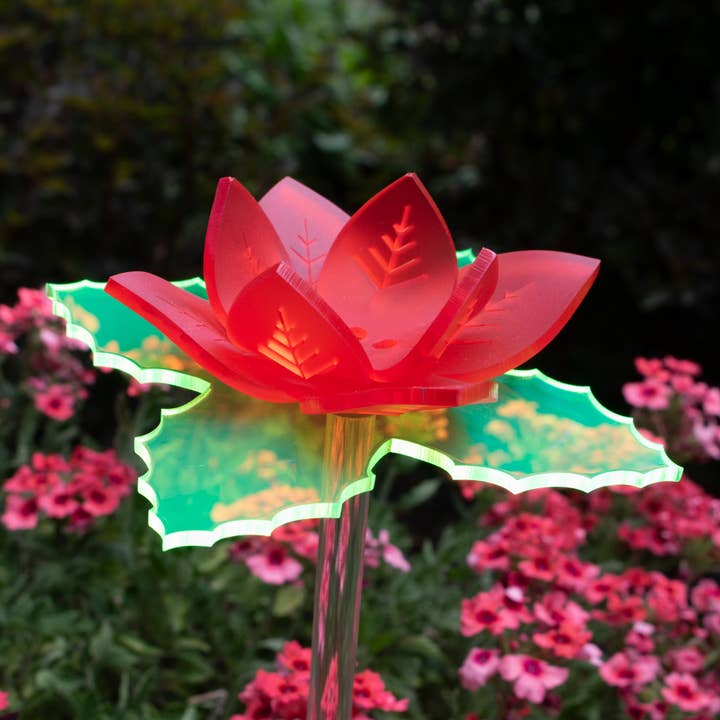 Natural Glowing Poinsettia stake | Christmas flower gift for wholesale by The Colored Petal