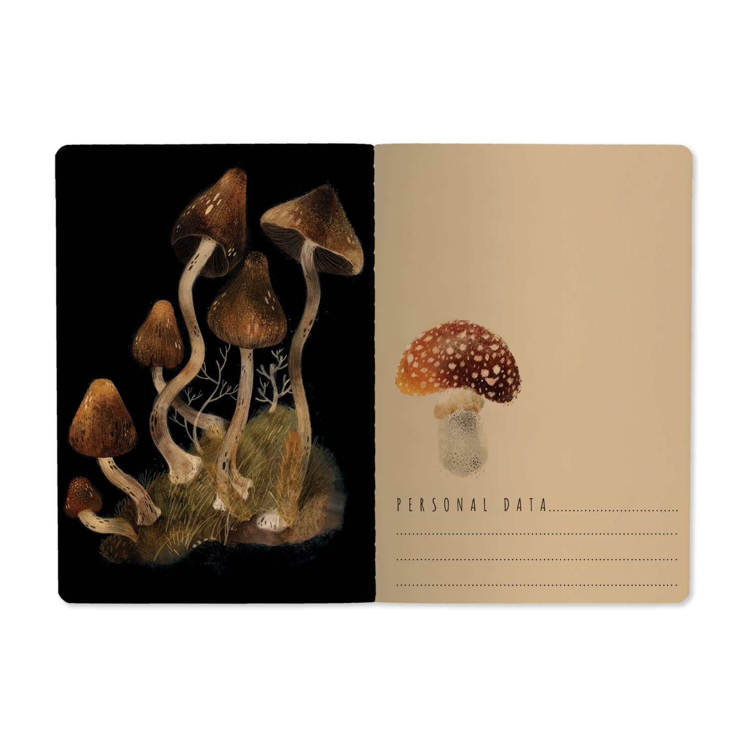BV by Bruno Visconti - Wholesale Notebook - Forest Mushrooms1