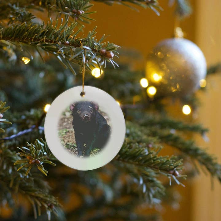 3dRose - Wholesale Ornament - 3dRose, Tasmanian Devil wildlife, Tasmania, Australia - AU01 MZW0090 - Martin Zwick, Ornament6