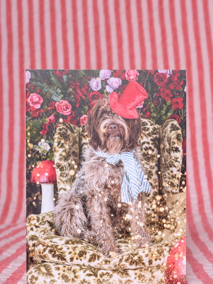 Valentines Day Greeting Card Mad Hatter Dog Photography for wholesale by The Velvet Big Top
