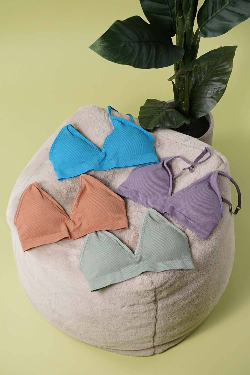 Amerikan Basics - Vente Brassière – femme - Brassières de mode assorties pour femmes1