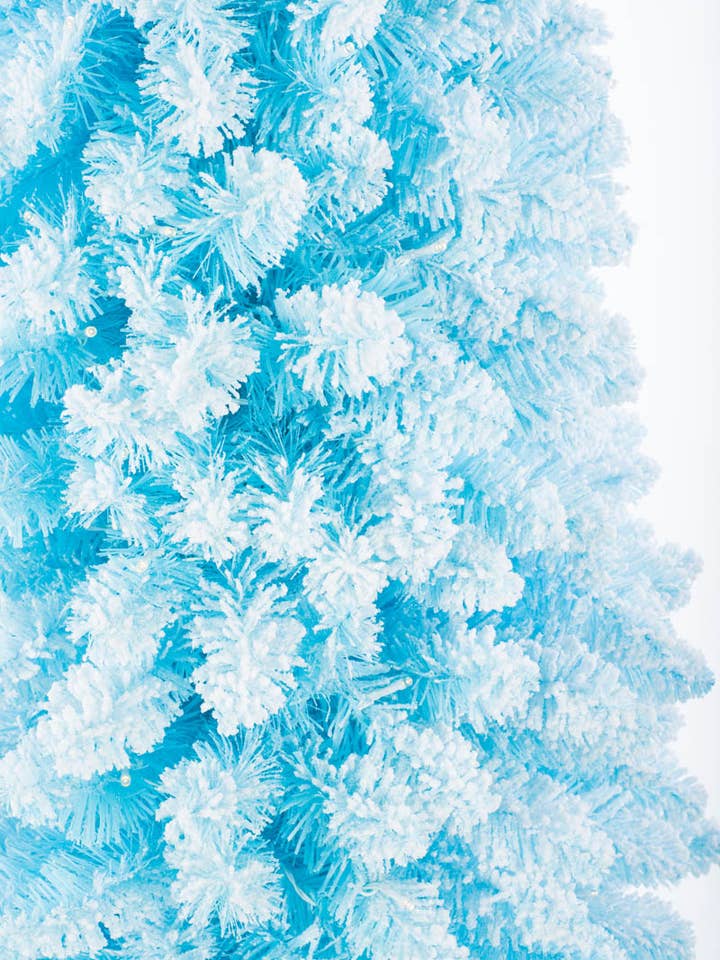 NOUVEAU-Sapin bleu ciel pour la vente par Starlight Collection