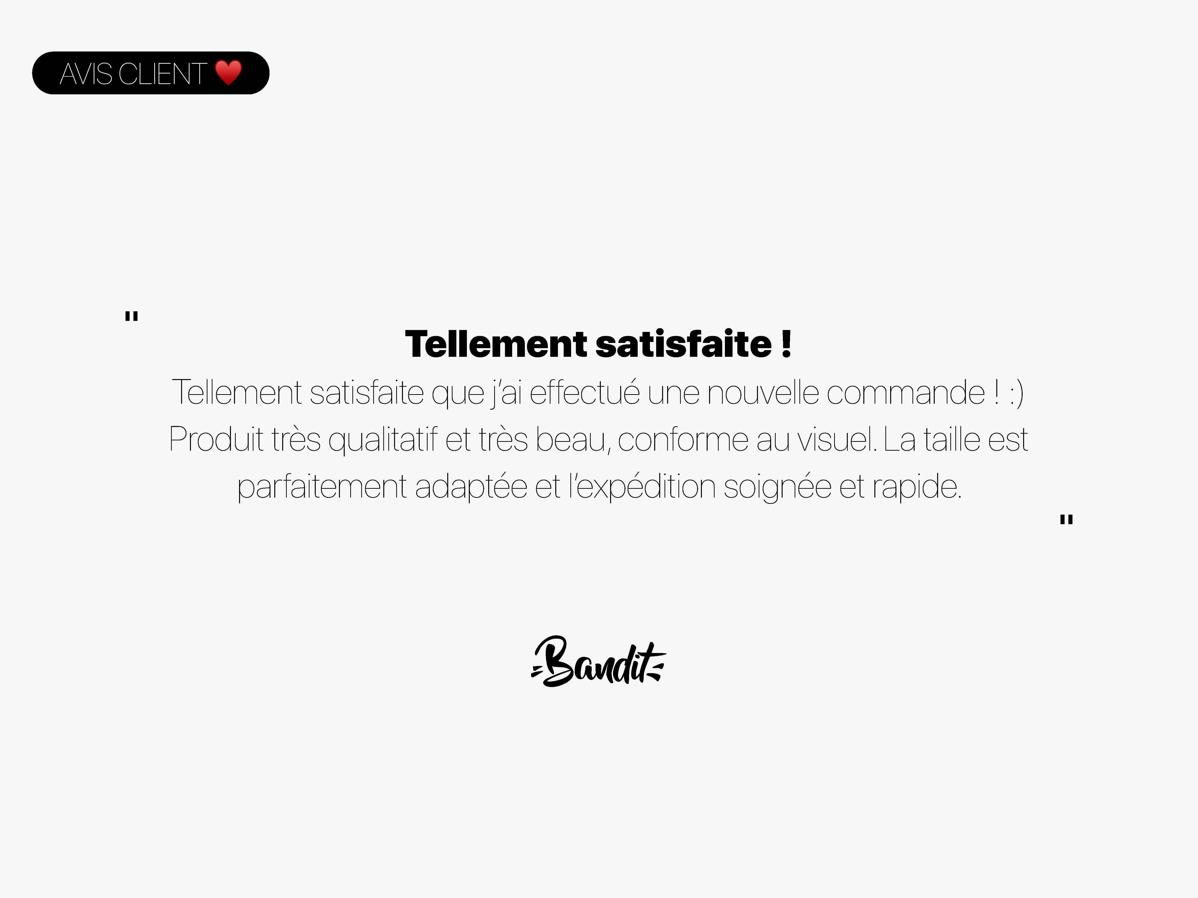 French Bandit - Wholesale Pet Harness - Dog - Leopard print dog harness6