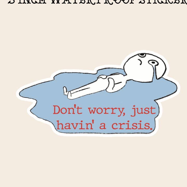 Havin' a crisis funny sticker, hilarious, fun, kindle, car for wholesale by Rebel Roses