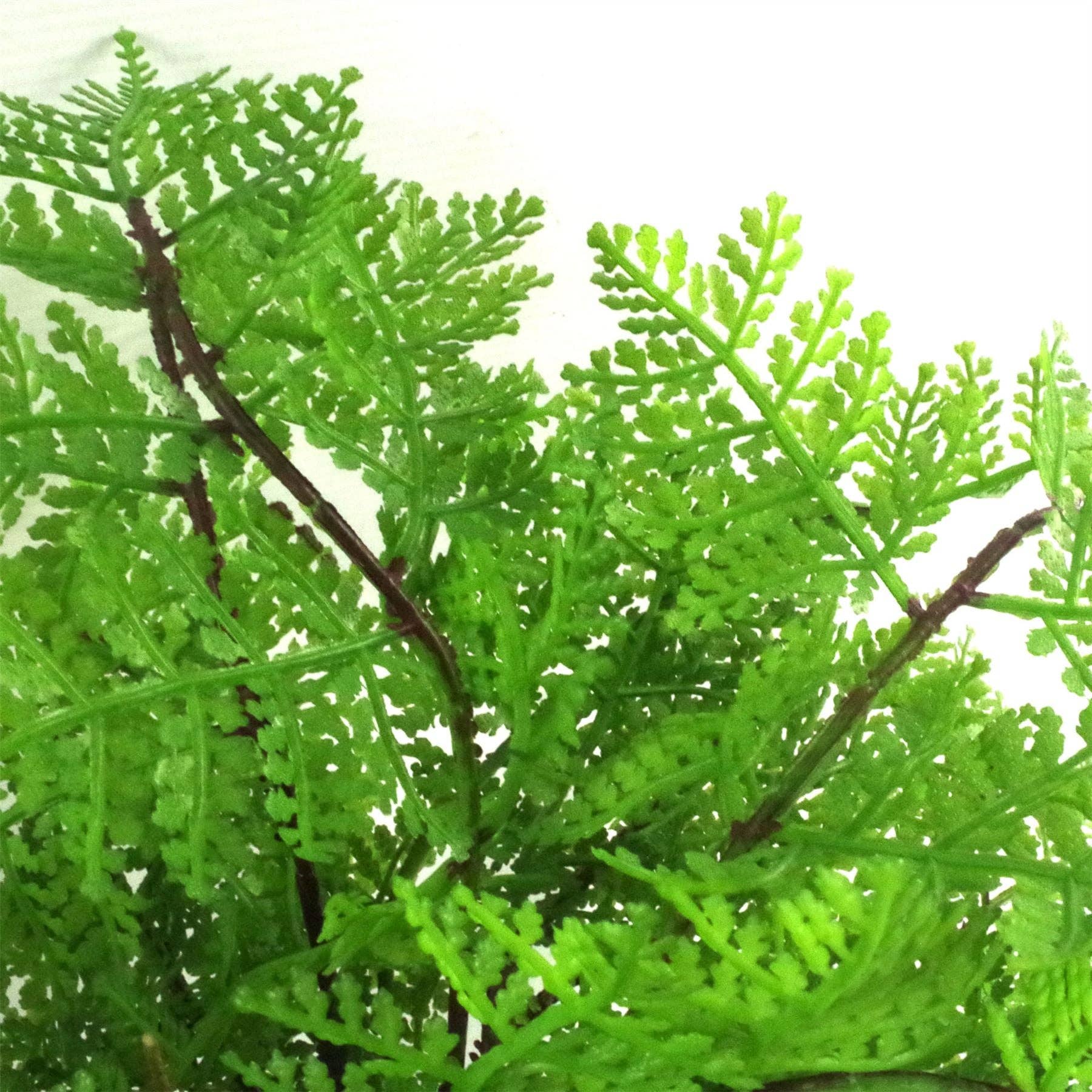 Leaf Design UK LTD – wholesale Artificial plant – Artificial Fern Plant 30cm Botanical Fern 30cm In Plant Pot1
