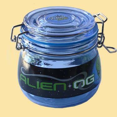 Alien OG Celestial Large Stash Jar for wholesale by Gypsy Rose