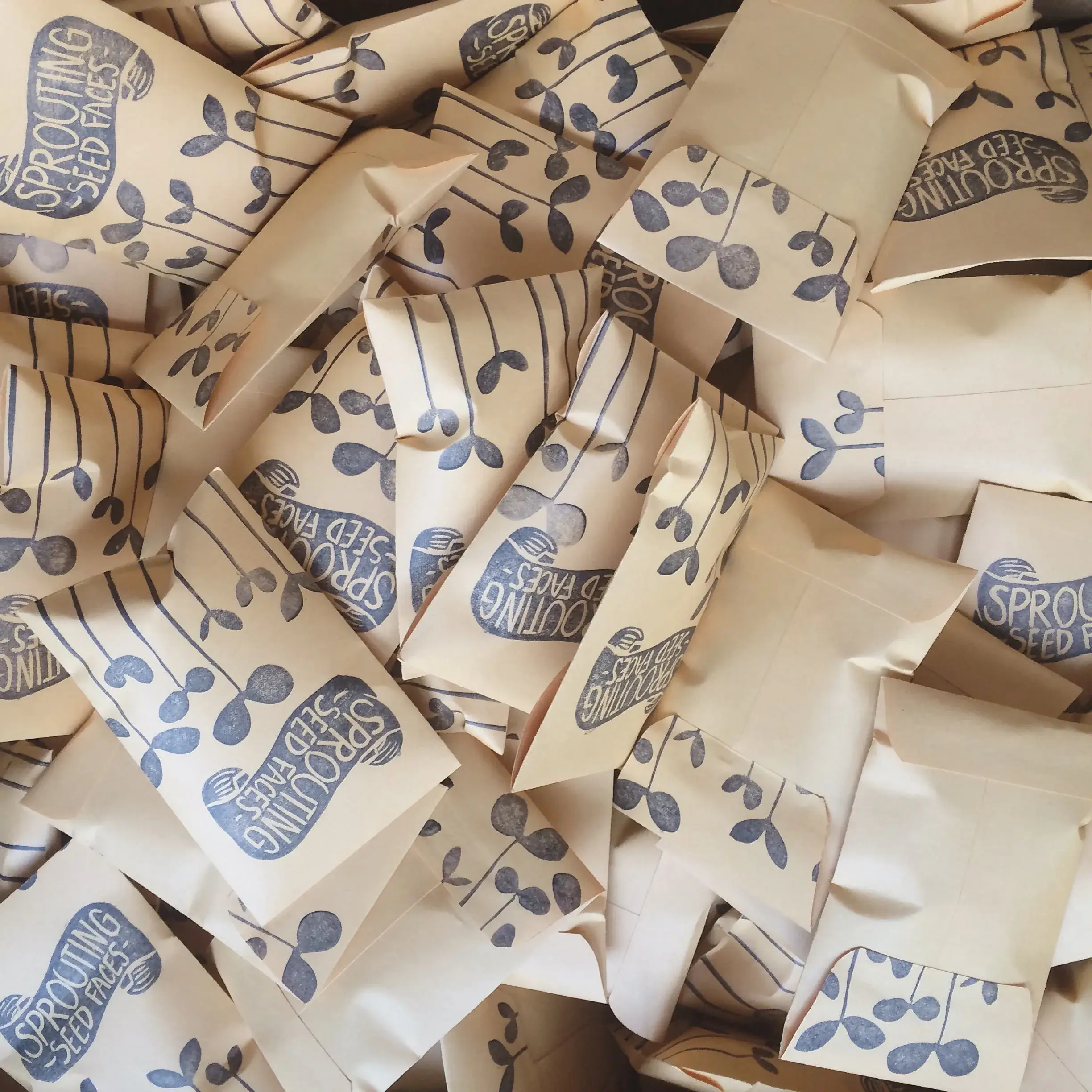 Sustainable Paper+Craft - Venta al por mayor Semillas de plantas - 5 caras germinantes de semillas2