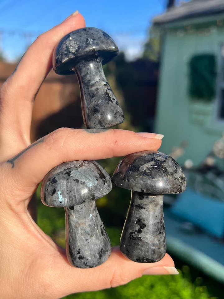 Larvikite svampsnideri för wholesale av Aurafy