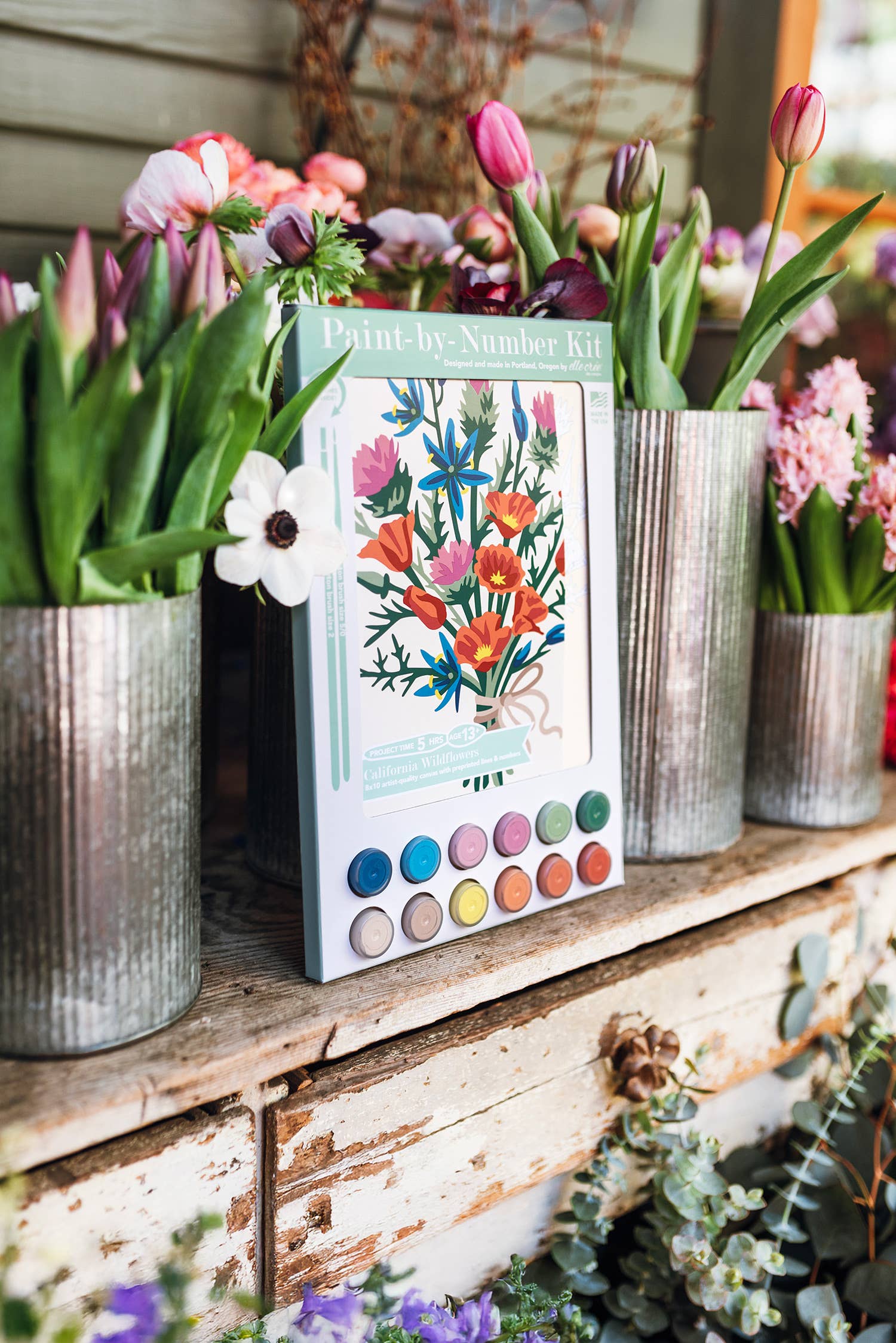 Elle Crée (She Creates) - Wholesale DIY Craft Kit - California Wildflowers Paint-by-Number Kit 2