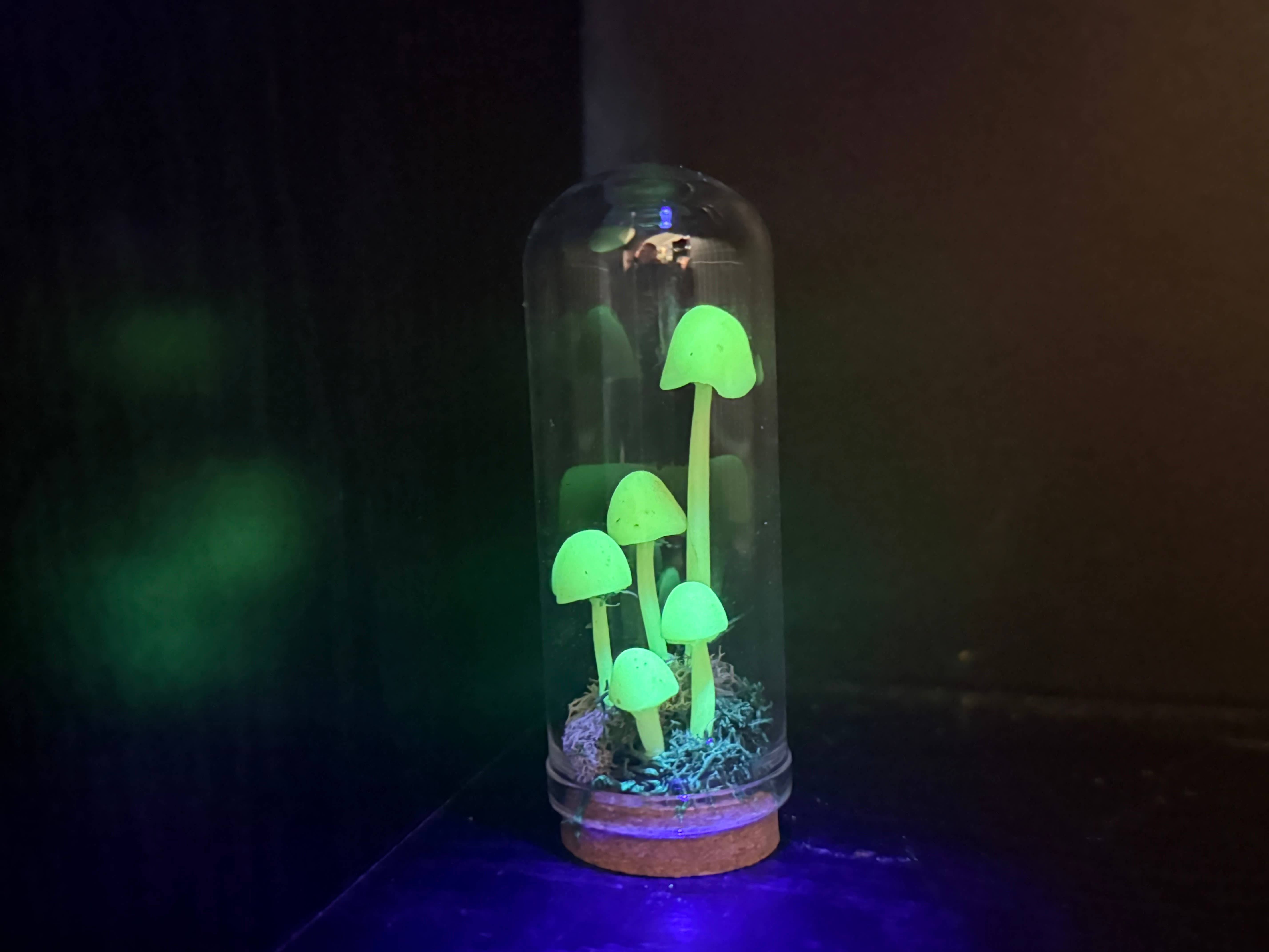 Leafy Ann Art - Wholesale Sculpture - Mushrooms glow mushroom terrarium4