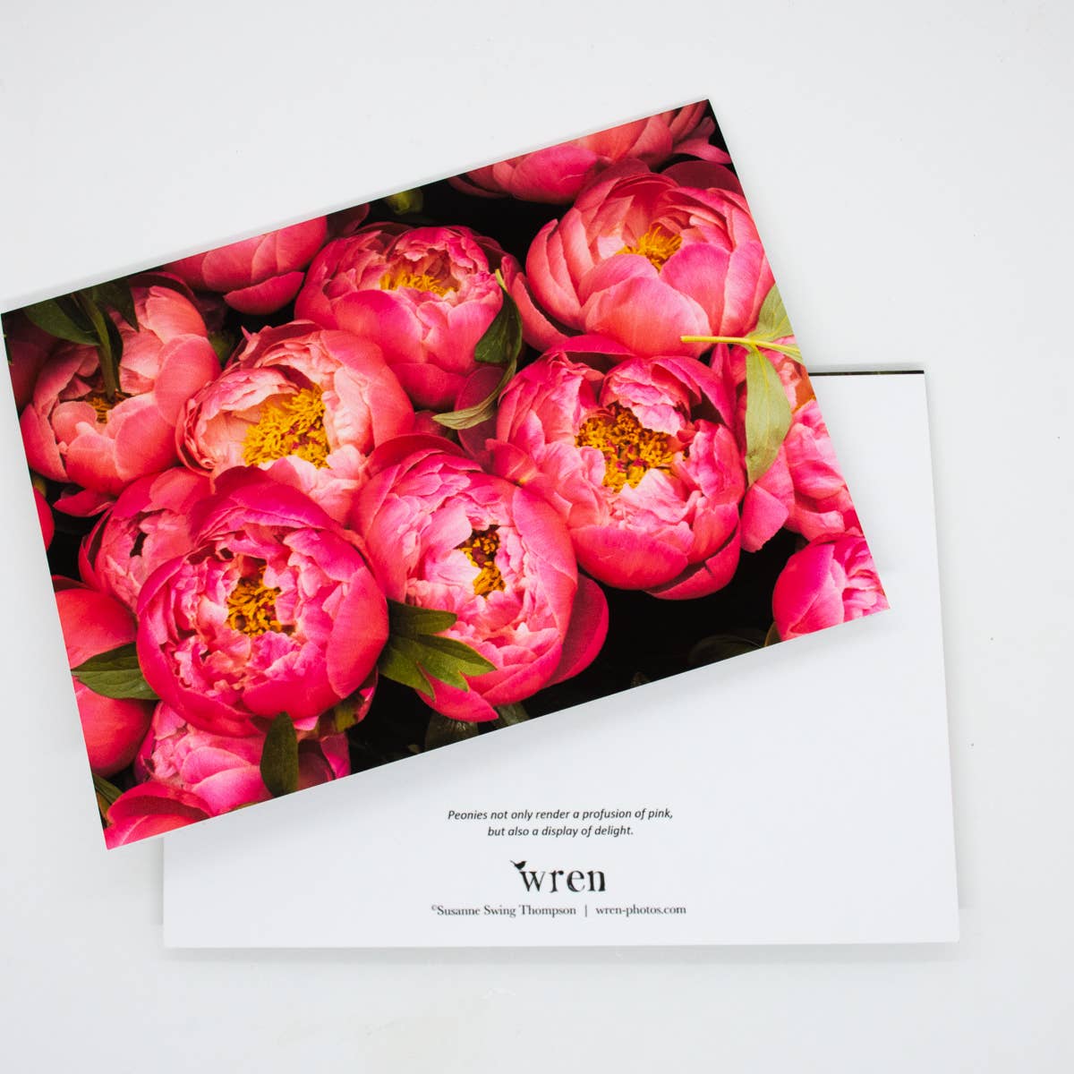 Wren - Wholesale Everyday Greeting Card - Peonies Greeting Card1