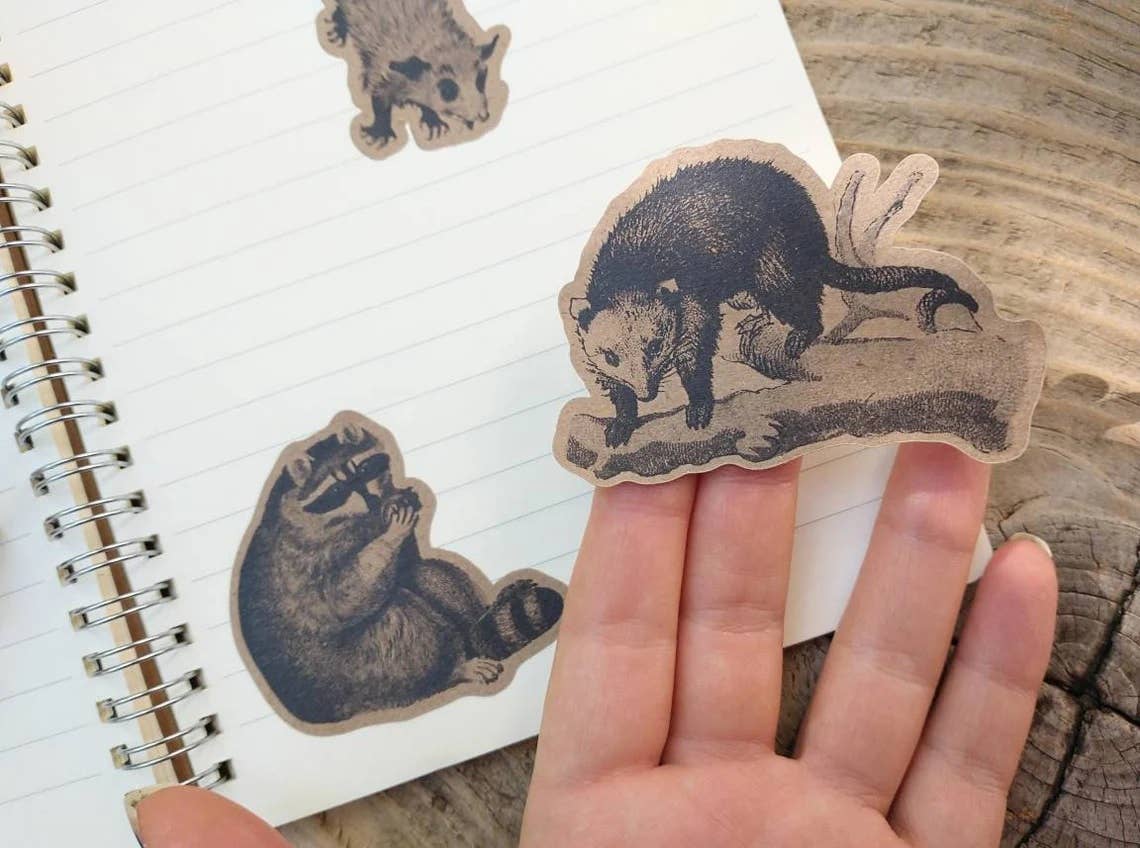 BoyPilot Goods - Wholesale Sticker - Vintage Sticker Sheets - Fairytales, Horror, Alchemy, Nature9