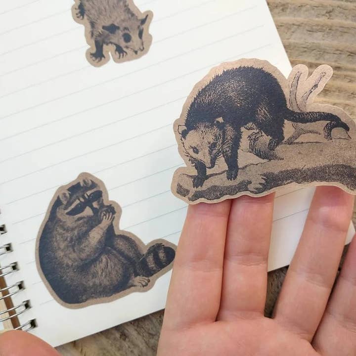 BoyPilot Goods - Wholesale Sticker - Vintage Sticker Sheets - Fairytales, Horror, Alchemy, Nature9