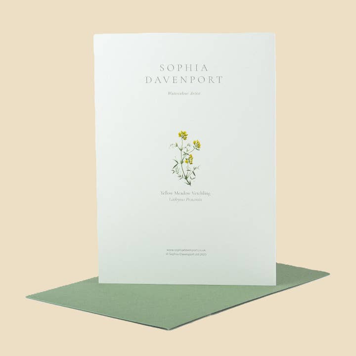 Sophia Davenport - Wholesale Everyday Greeting Card - Wildflower Greeting Cards and Notelets39