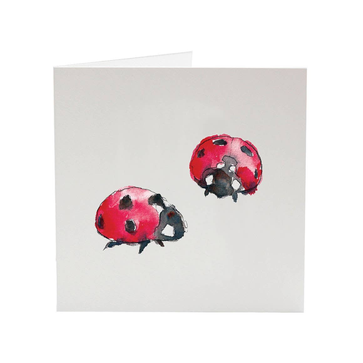 SJ. Vickery Designs Ltd. - Wholesale Love Card - Ladybirds - Love Bug hand-drawn greeting card1