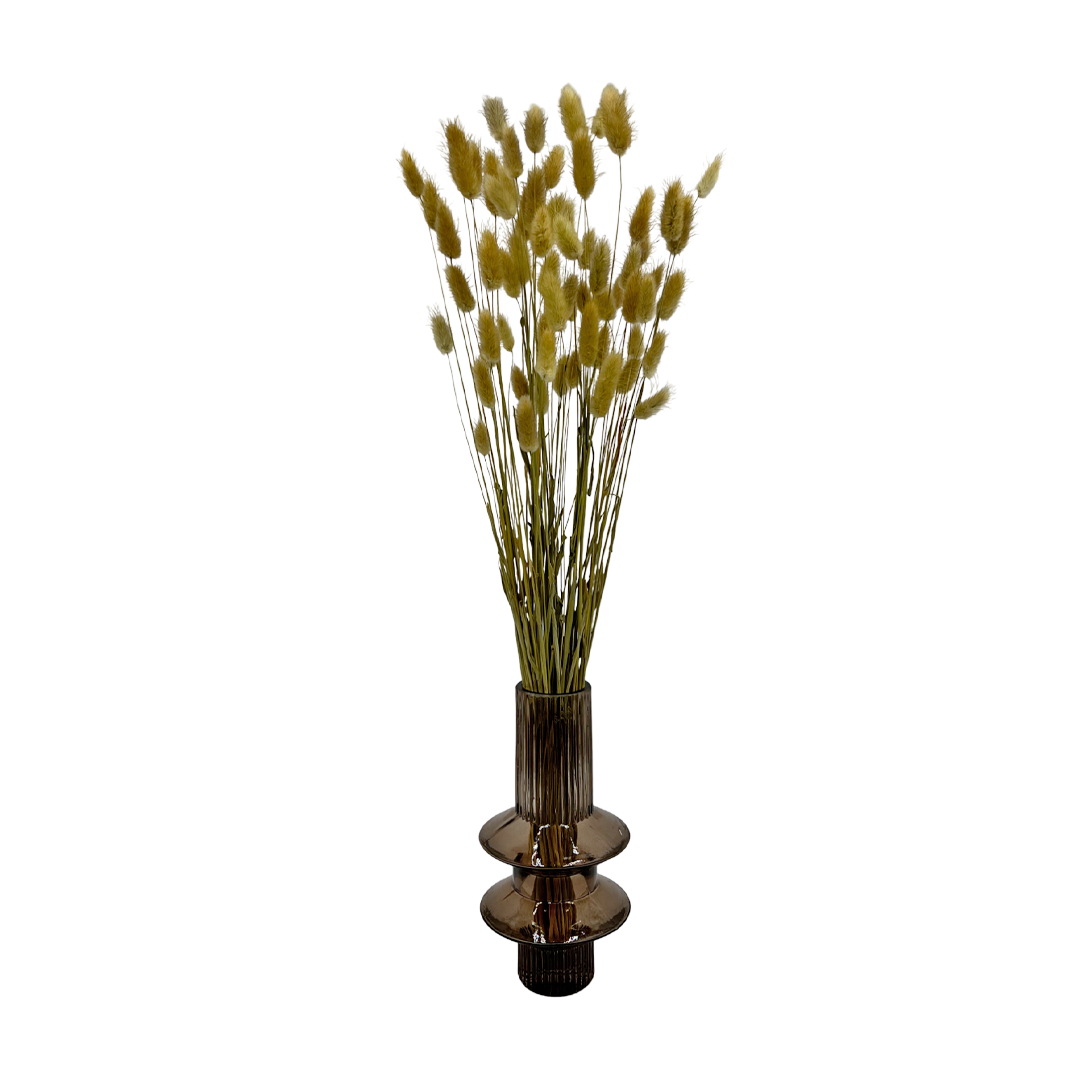 2626 Designs - Wholesale Dried/Pressed Flowers - Bunch Dried Bunny Tails Grass-20-24"  apx 1 oz15