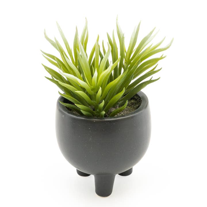 Candlelight Products Ltd – wholesale Succulent – Ice Artificial Plant Succulent in Ceramic Pot 15cm 6PK1
