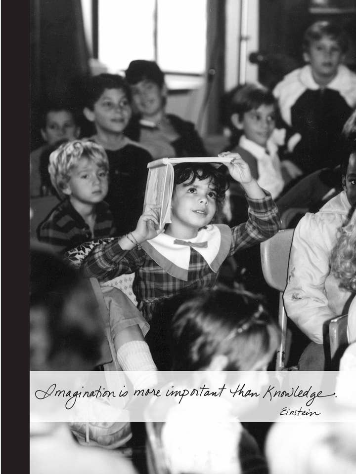 110b: Imagination Is More Important Than Knowledge. - Einstein for wholesale by Bonair Daydreams